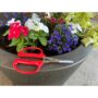 Hydroponic Scissors – Corona – 2″